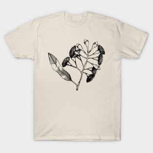 Garden Flower with Seed Pods T-Shirt